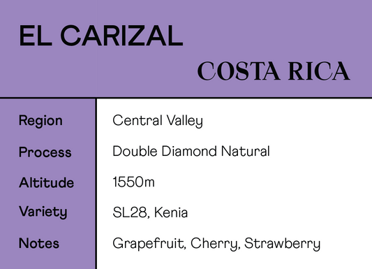 Costa Rica - El Carizal