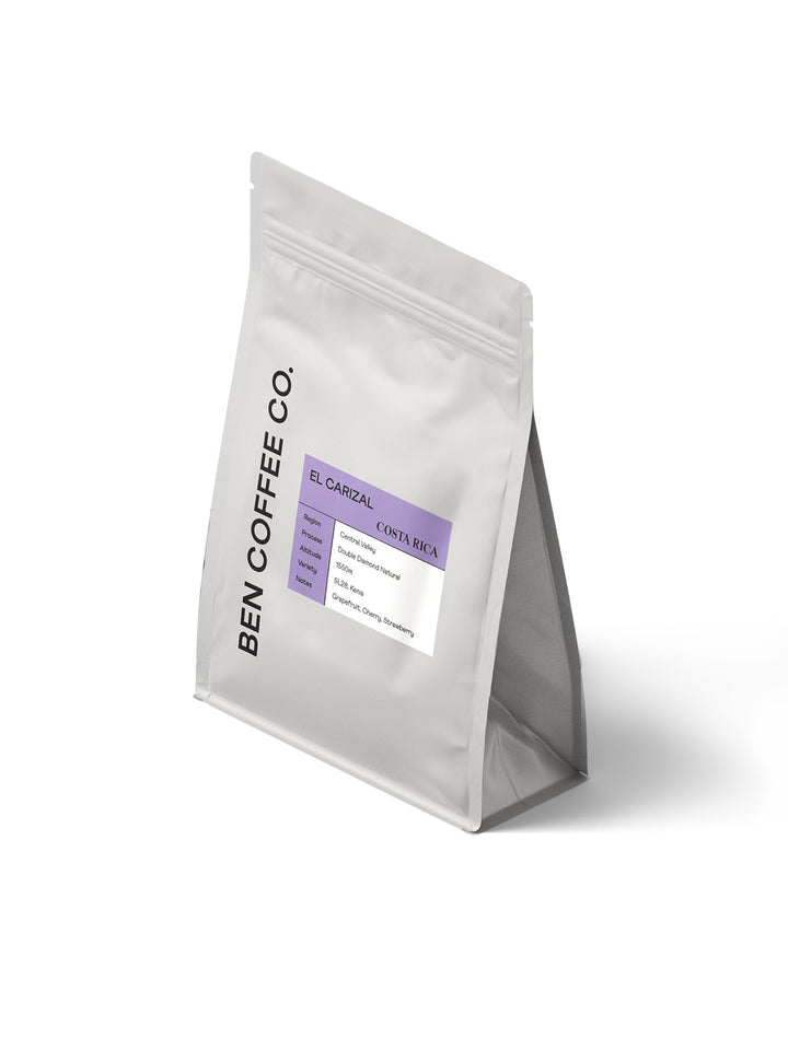 Costa Rica - El Carizal